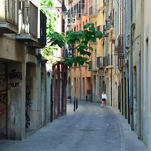  Appartement Girona Housing Ginesta 9 Espagne